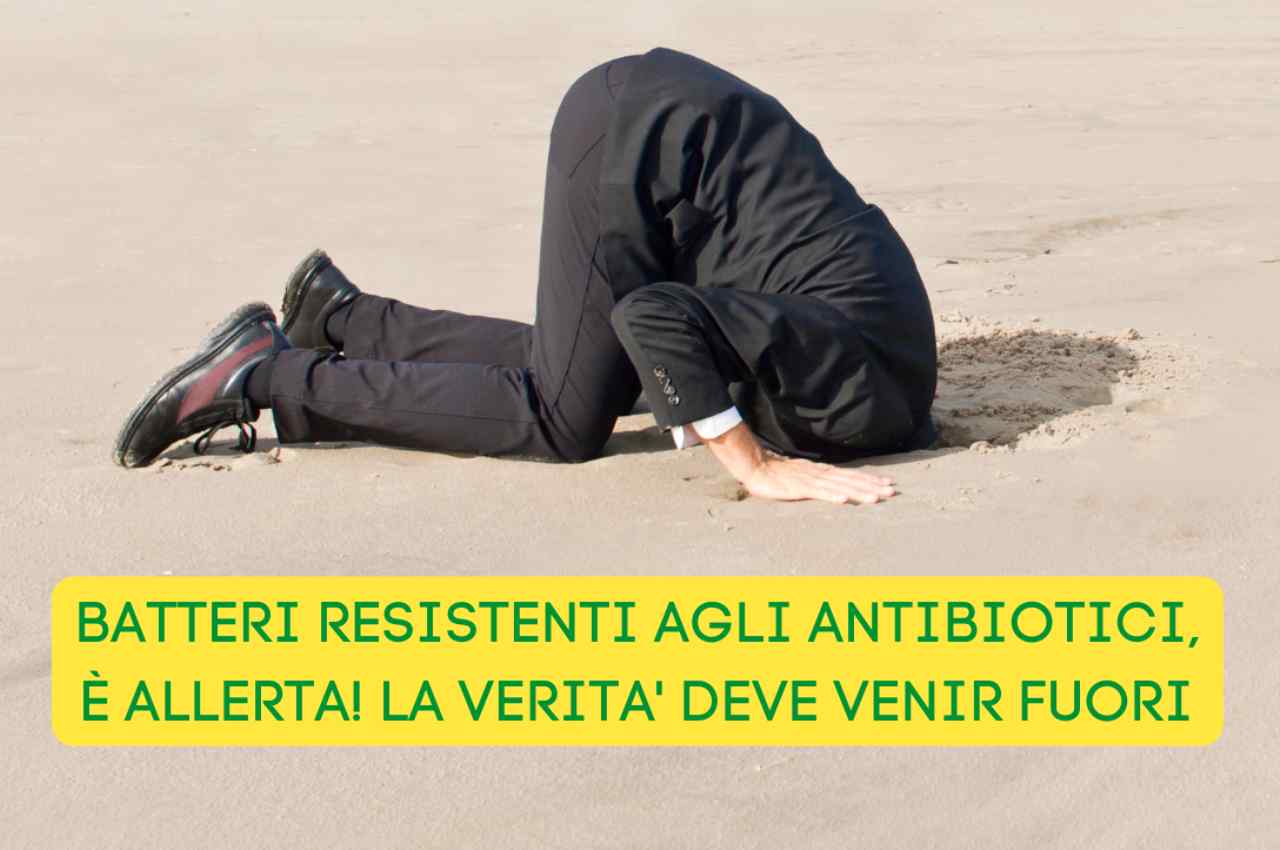 batteri resistenti