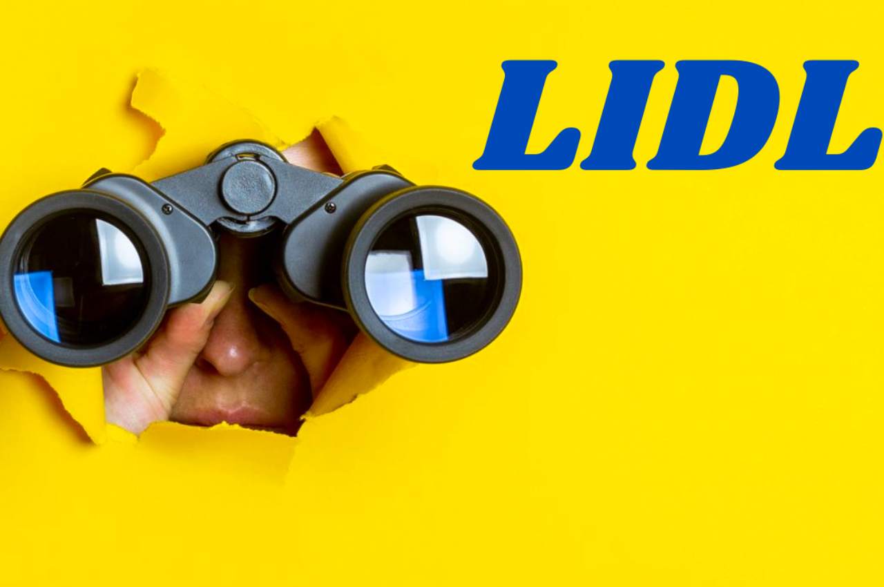 LIDL assunzioni 