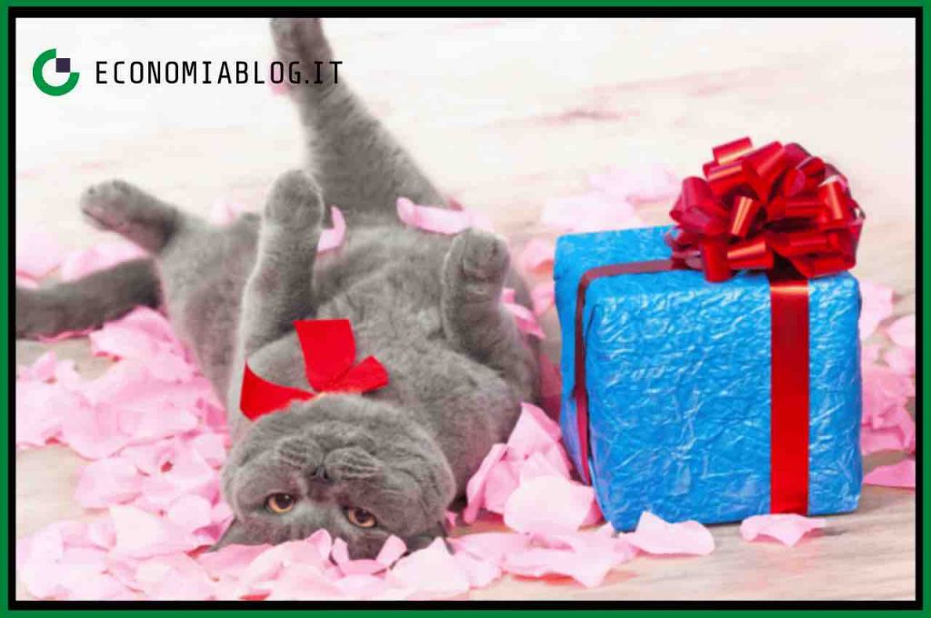 gatti regali