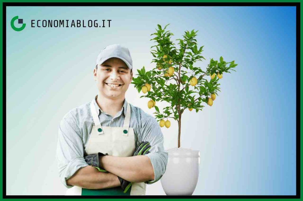 Giardiniere sorridente e albero di limone