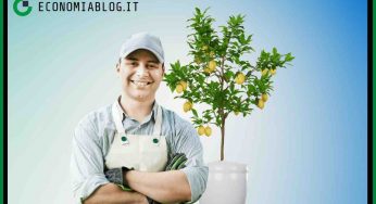 Albero di limoni, come farlo crescere velocemente? Il trucchetto che pochi conoscono