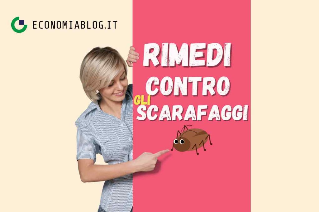 scarafaggi