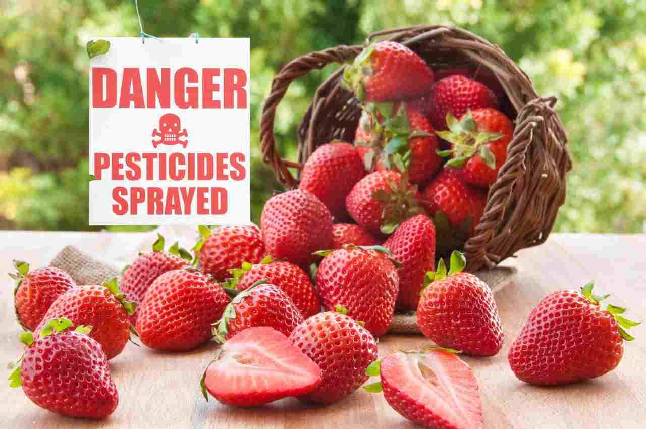  fragole e pesticidi