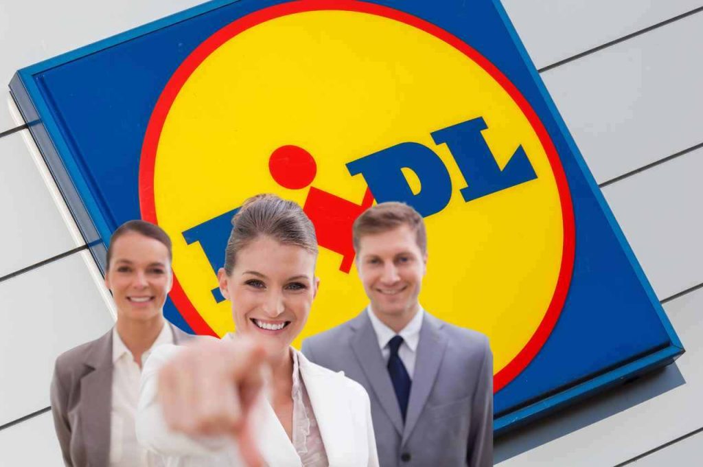 selezioni lidl lavoro