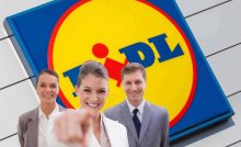 selezioni lidl lavoro